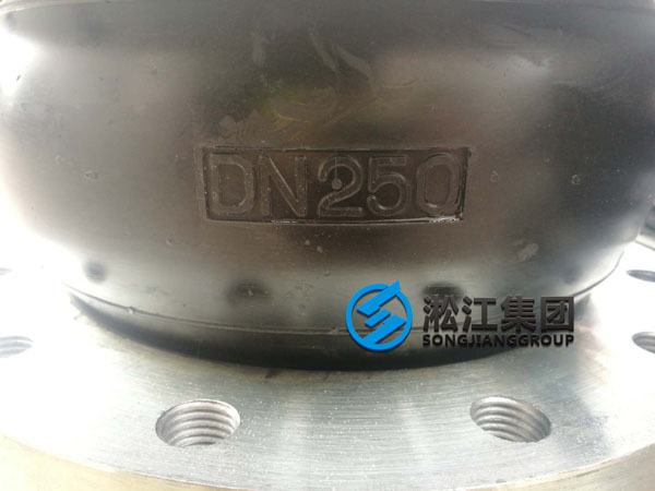 【发货现场】DN250氟橡胶FKM橡胶接头发往福建福清